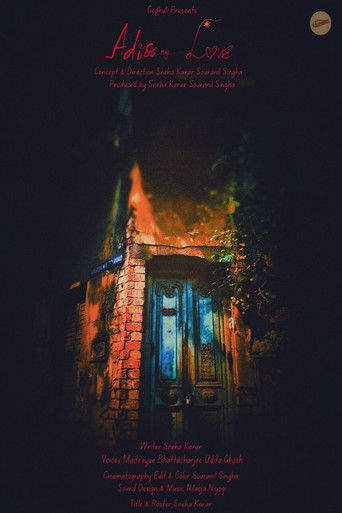Poster for Adios My Love