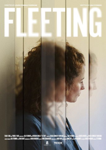 Poster for Fleeting