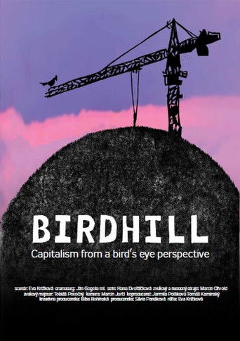 Poster for Birdhill