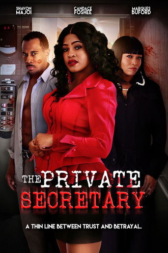Poster for The Private Secretary