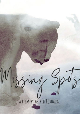 Poster for The Missing Spots