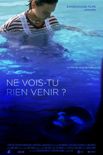 Poster for Ne vois-tu rien venir ?