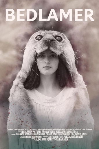 Poster for Bedlamer