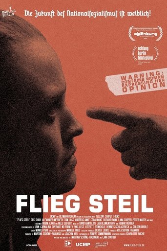 Poster for Flieg steil