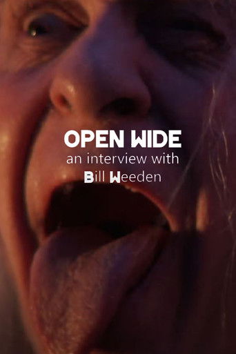 Poster for Open Wide