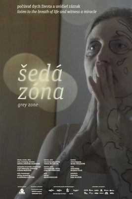 Poster for Grey Zone