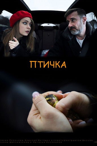 Poster for The Birdie
