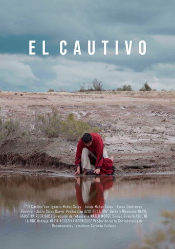 Poster for The Captive