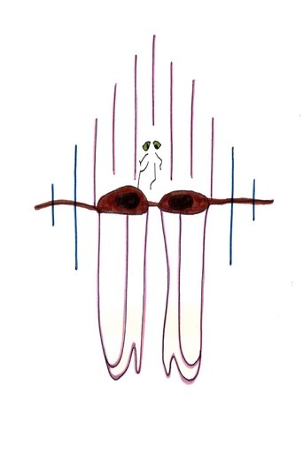 Poster for Big Brown Eyes