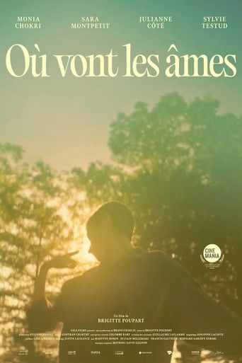 Poster for Where Souls Go