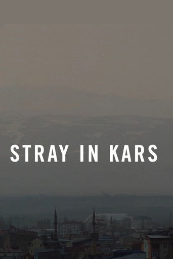 Poster for Stray in Kars
