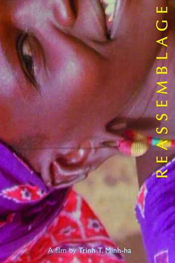 Poster for Reassemblage: From the Firelight to the Screen