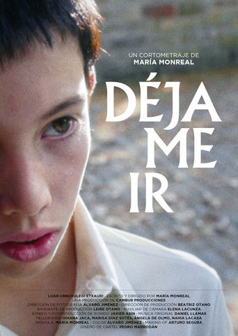 Poster for Dejame ir