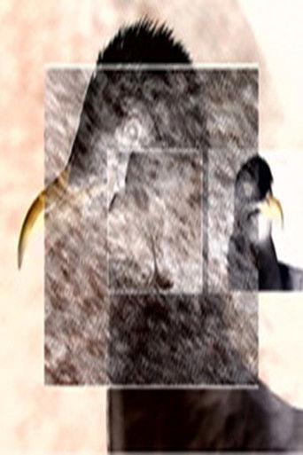 Poster for Ruffled Feathers