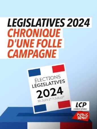 Poster for Législatives 2024 : chronique d'une folle campagne