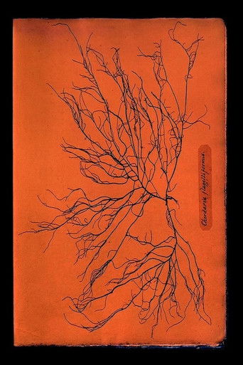 Poster for Ghost Protists
