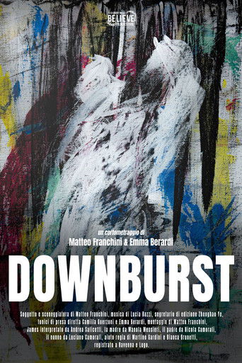 Poster for Downburst