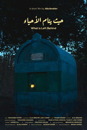 Poster for What is Left Behind