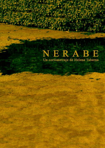 Poster for Nerabe