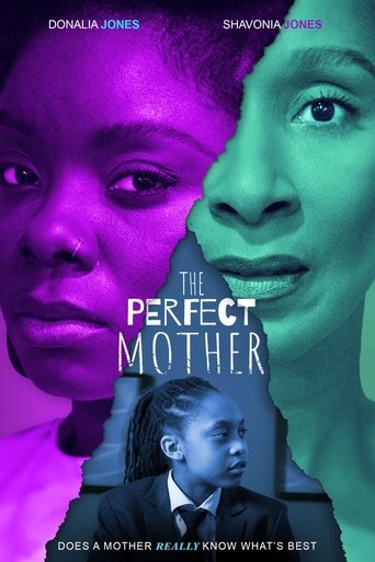 Poster for The Perfect Mother