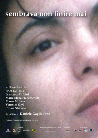 Poster for Sembrava non finire mai