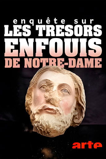 Poster for Enquête sur les trésors enfouis de Notre-Dame de Paris