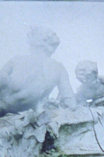 Poster for Skulpturen im Nebel