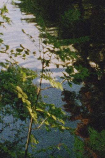 Poster for Aufblitzende Bilder