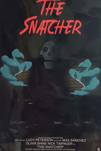 Poster for The Snatcher