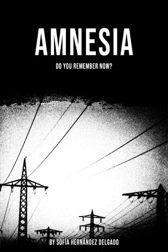 Poster for Amnesia