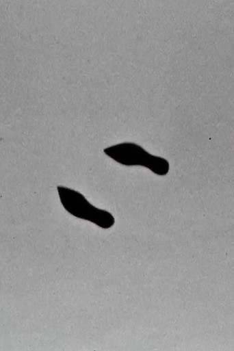 Poster for Cold Feet