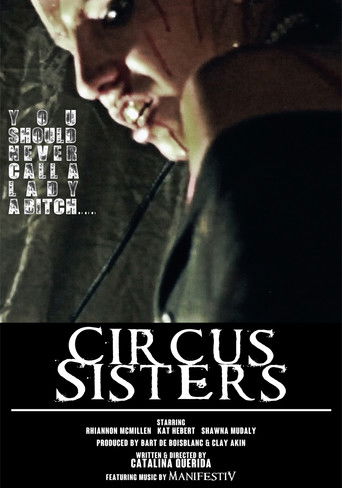 Poster for Circus Sisters
