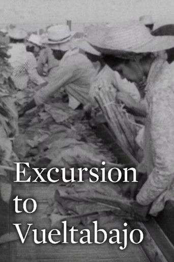 Poster for Excursion to Vueltabajo