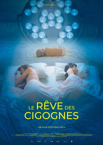 Poster for Dream of Storks