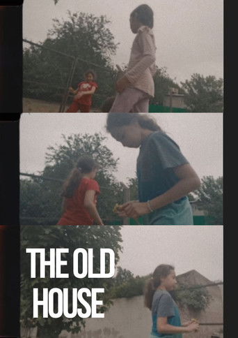 Poster for The Old House