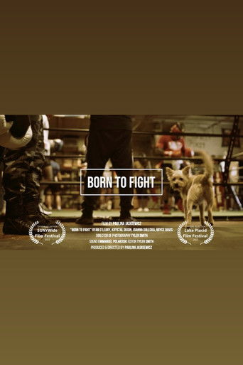 Poster for Born to Fight