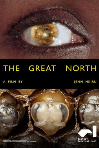 Poster for The Great North