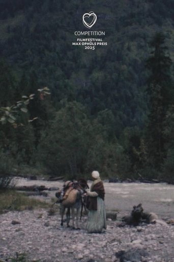 Poster for Gold Rush