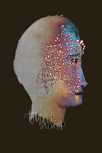 Poster for Timestamp