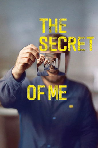 Poster for The Secret of Me