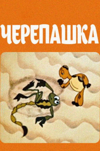 Poster for Turtle