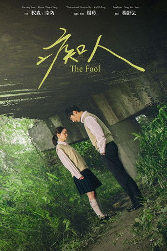 Poster for The Fool