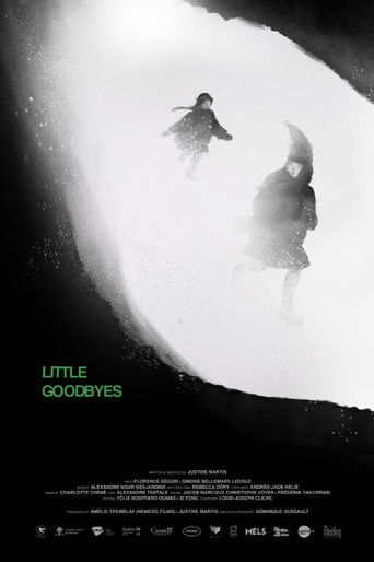Poster for Little Goodbyes