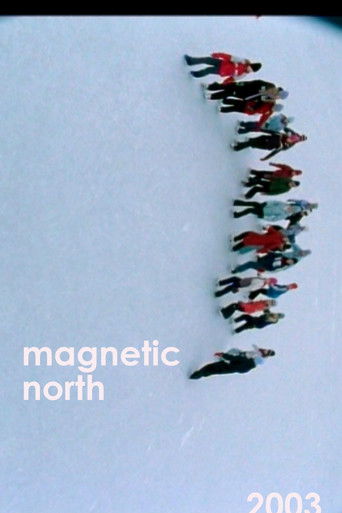 Poster for Magnetic North