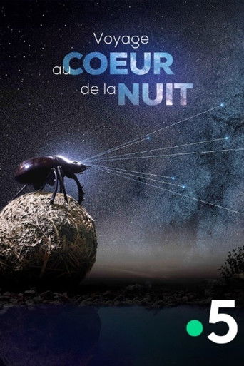 Poster for Voyage Au Coeur De La Nuit