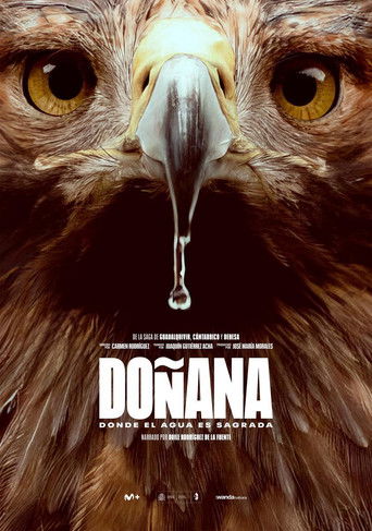 Poster for Doñana