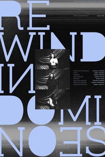 Poster for Rewinding Dominoes