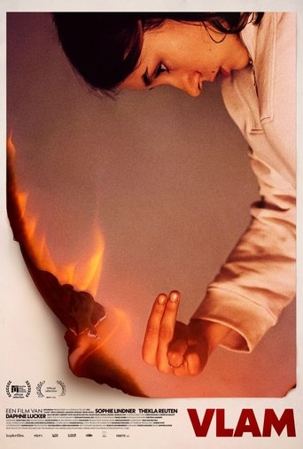 Poster for Vlam