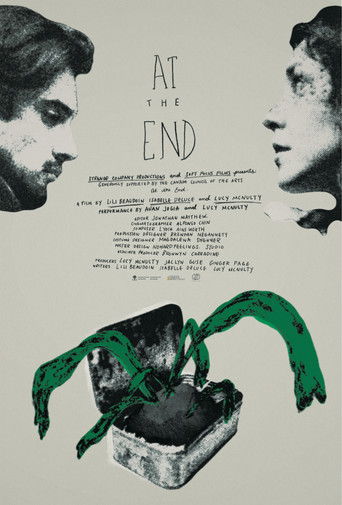 Poster for At the End