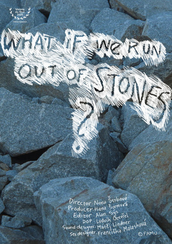 Poster for What If We Run Out of Stones?